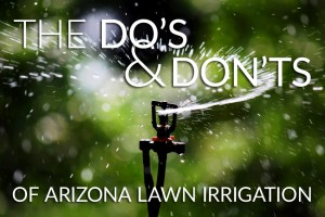 Arizona Lawn Irrigation Tips